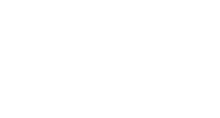 Robertson Wendt Disability logo